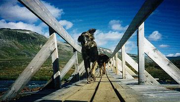 Heja, endlich mal wieder eine Br�cke!